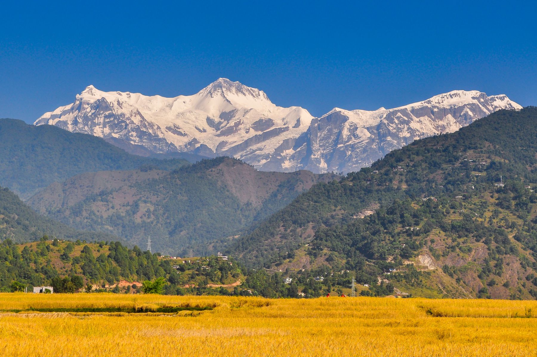 Nepal