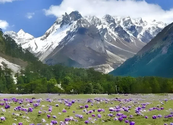 North Sikkim Tour – 3 Days 2 Nights | Lachung & Yumthang Valley